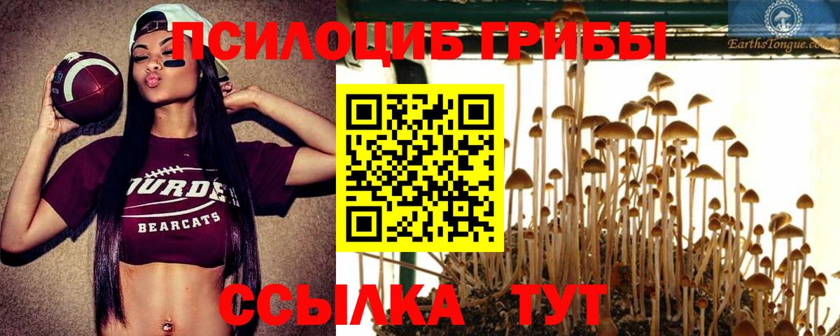 Галлюциногенные грибы мицелий  Вход с VPN  Печора  Псилоцибиновые грибы мицелий 