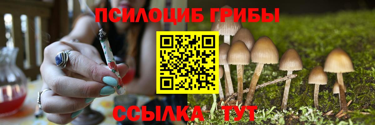Псилоцибиновые грибы Cubensis Печора